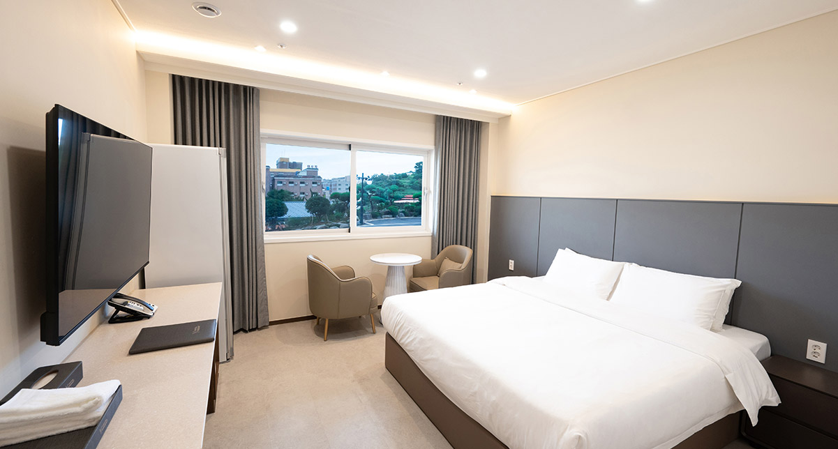 디럭스 킹 장애인